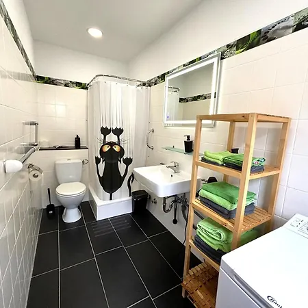 Hallgarten Rebe 11 Apartment