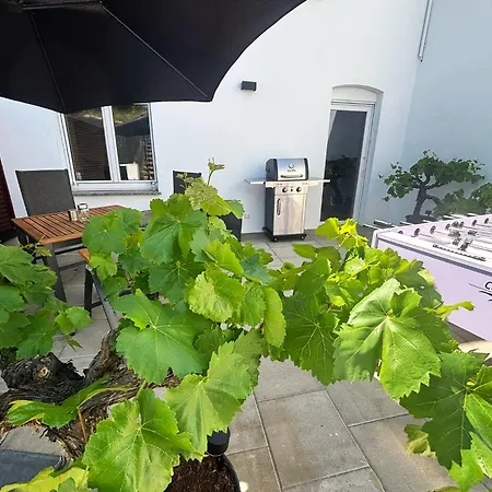 Apartmán Hallgarten Rebe 11 *